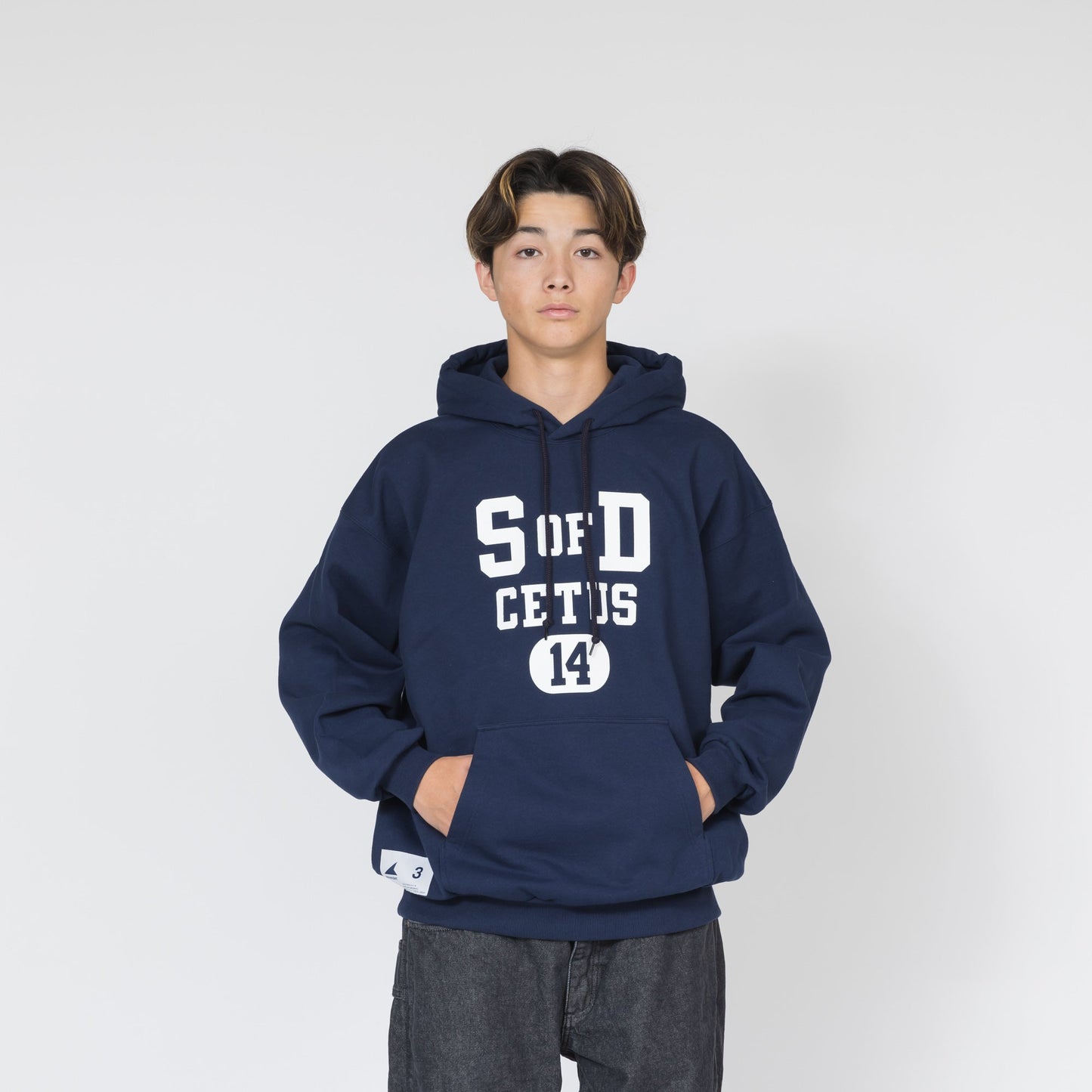 DESCENDANT SONS HOODY