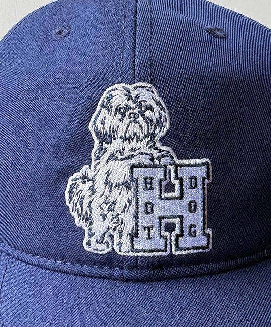 TACOMA FUJI RECORDS HOT DOG VNTG LOGO CAP
