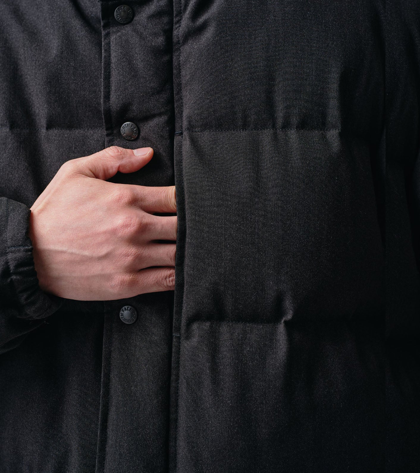 THE NORTH FACE PURPLE LABEL x Spiber Sierra Parka