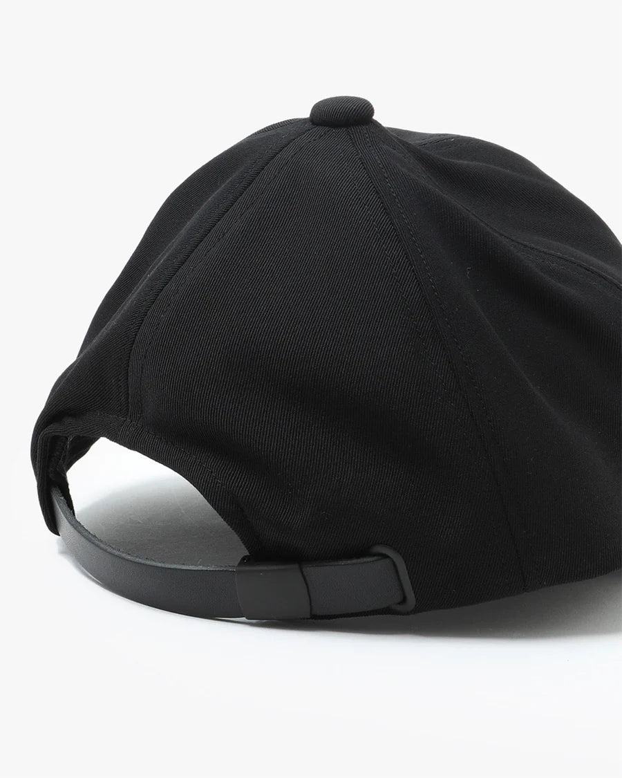 COMESANDGOES NYS CAP