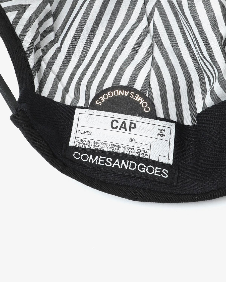 COMESANDGOES NYS CAP