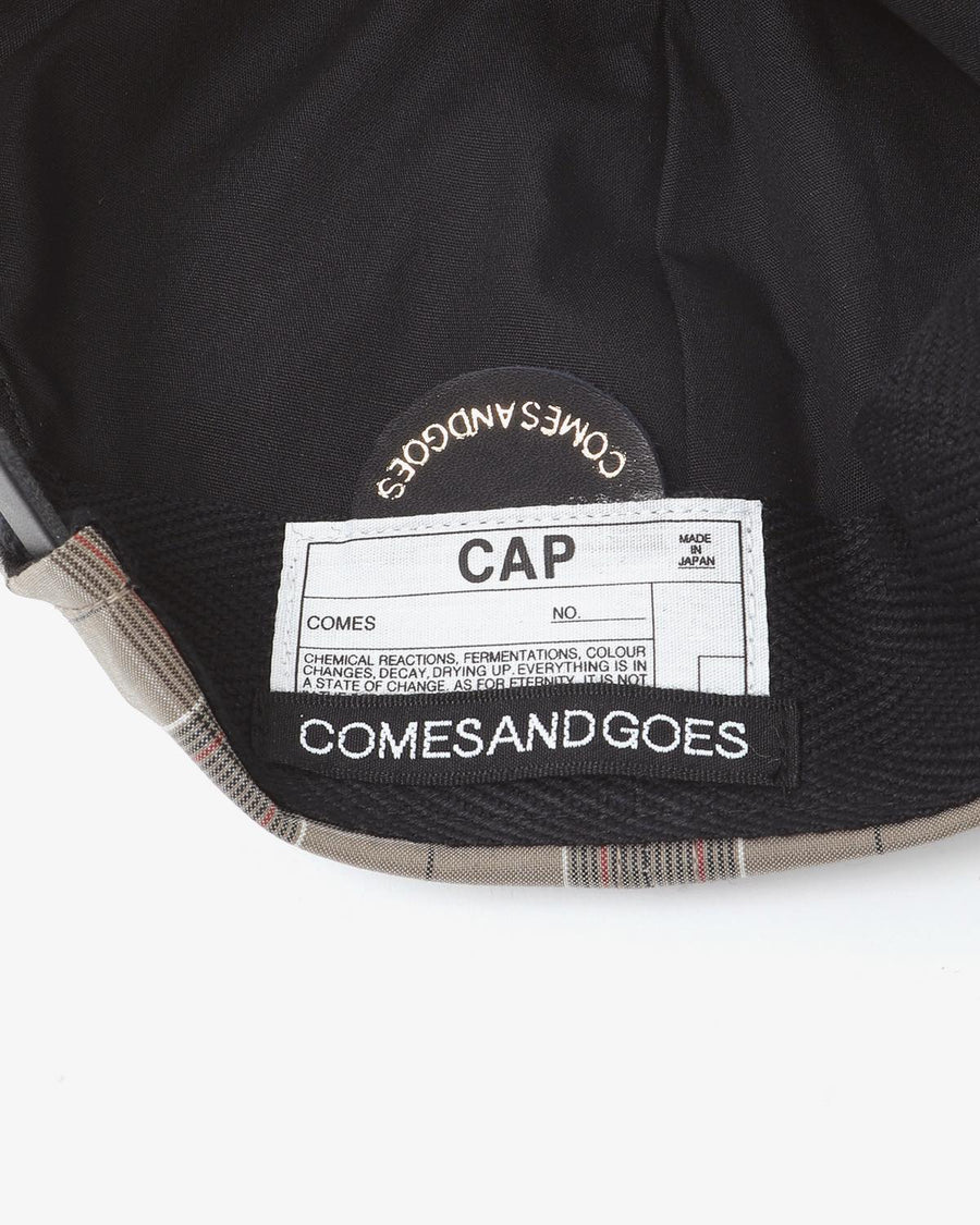 COMESANDGOES NYS CAP