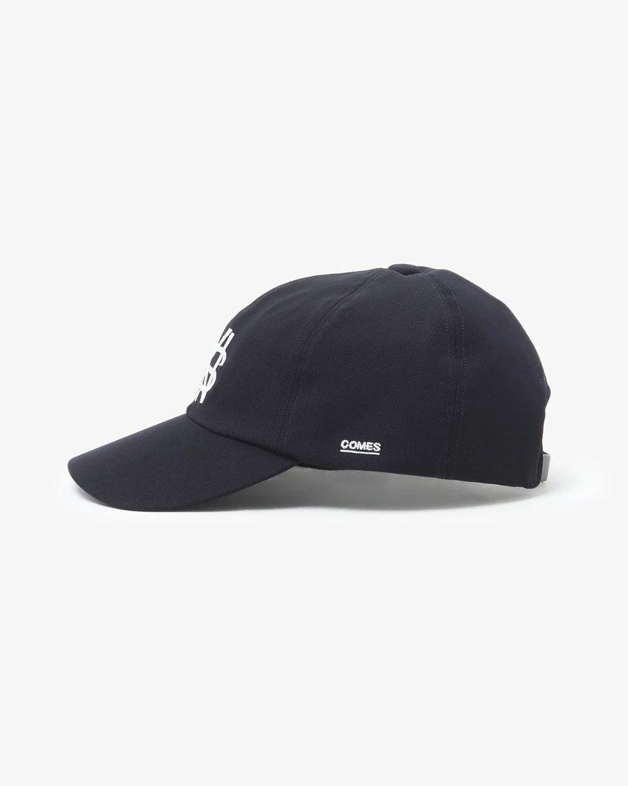 COMESANDGOES NYS CAP