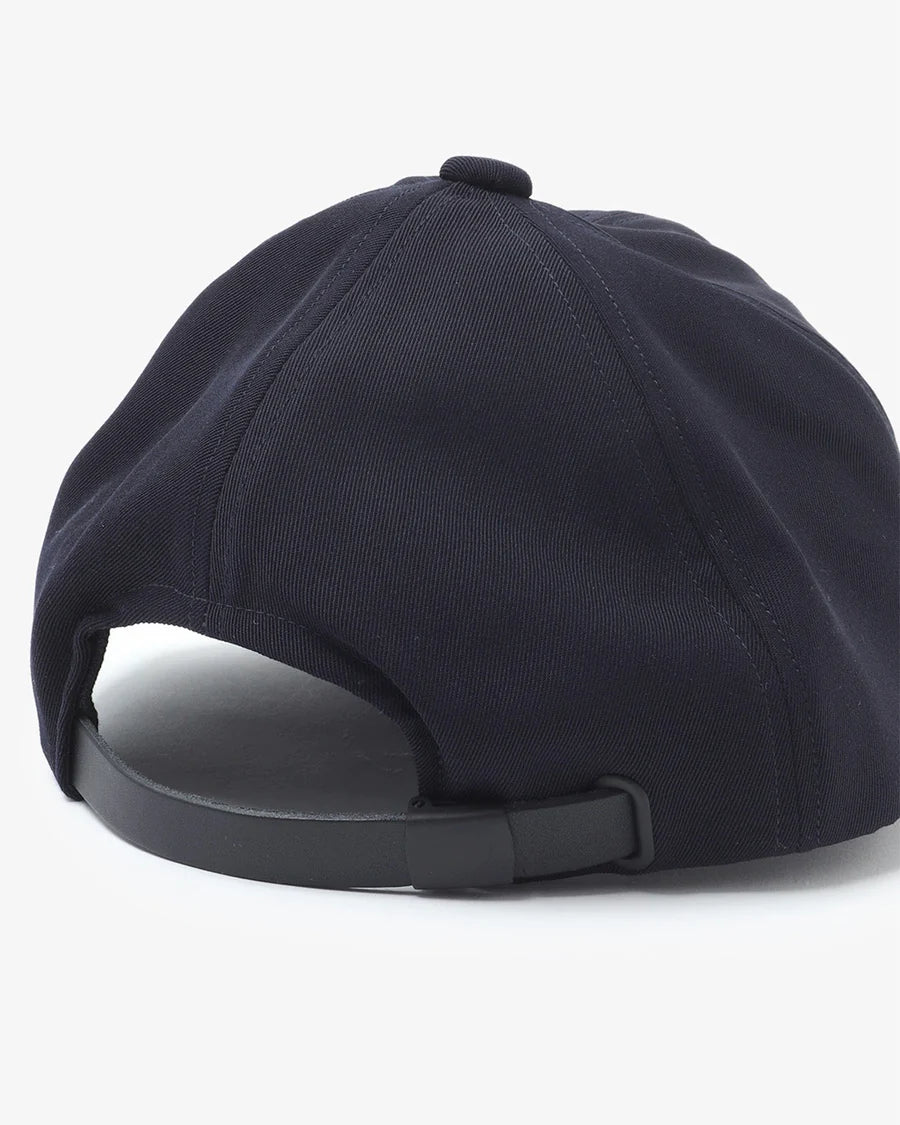 COMESANDGOES NYS CAP