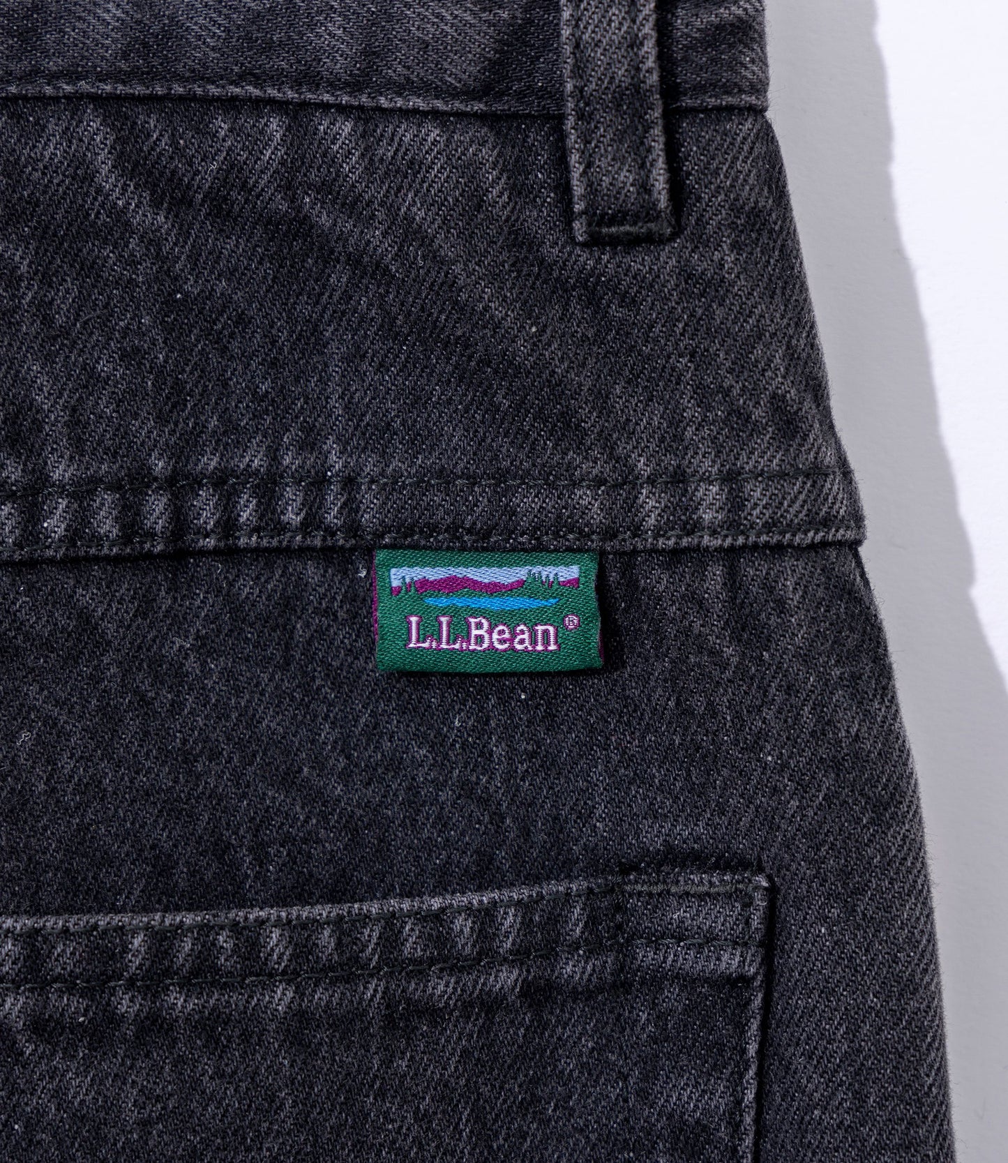 L.L.bean JAPAN EDITION Dexter Comfort Waist Jeans