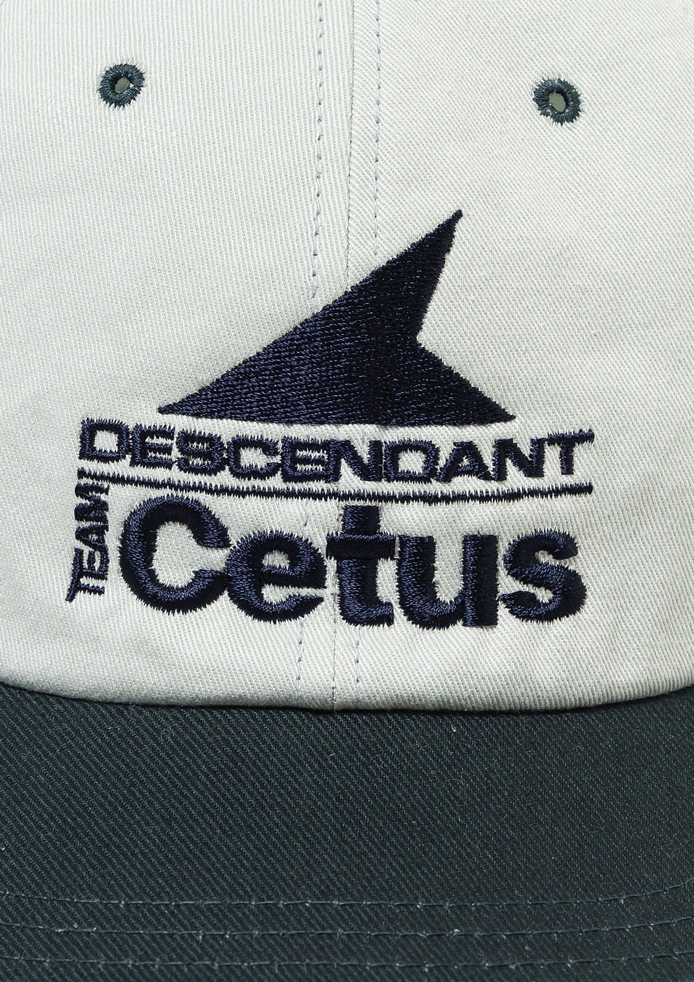 DESCENDANT CETUS 6PANEL