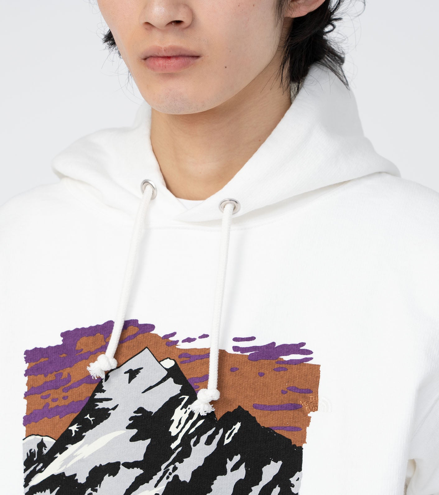 THE NORTH FACE Purple Label x NOMA t.d. 10oz Mountain Graphic Hoodie