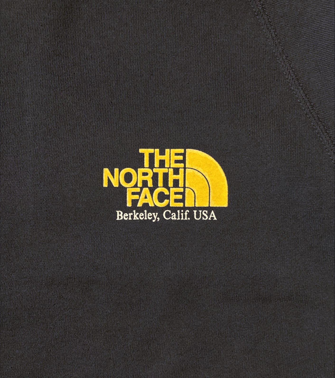 THE NORTH FACE PURPLE LABEL 11oz Crewneck Graphic Sweatshirt