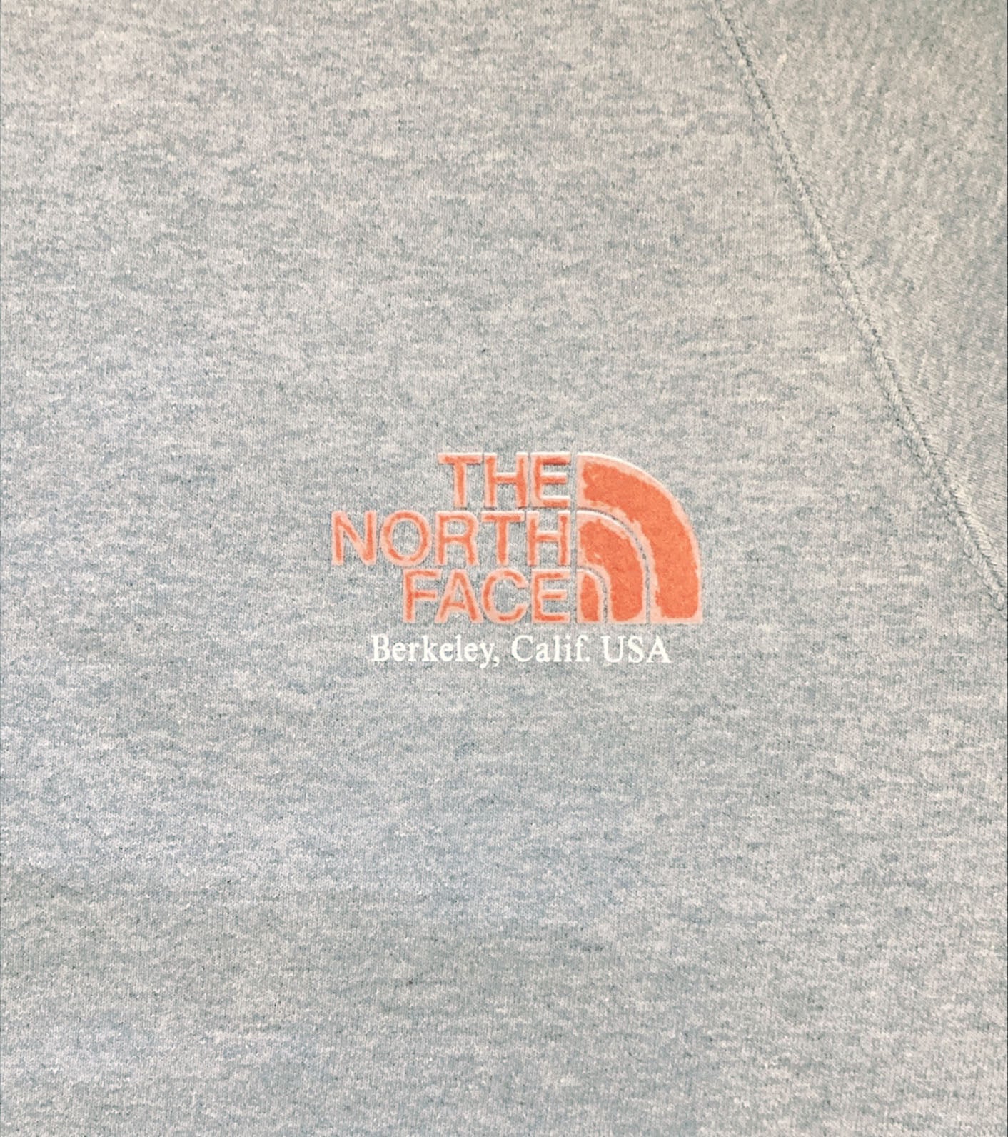 THE NORTH FACE PURPLE LABEL 11oz Crewneck Graphic Sweatshirt