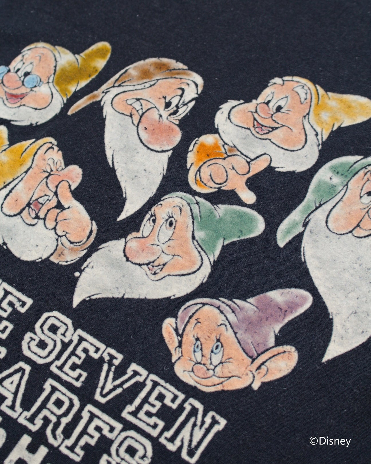 BOW WOW SEVEN DWARFS LS