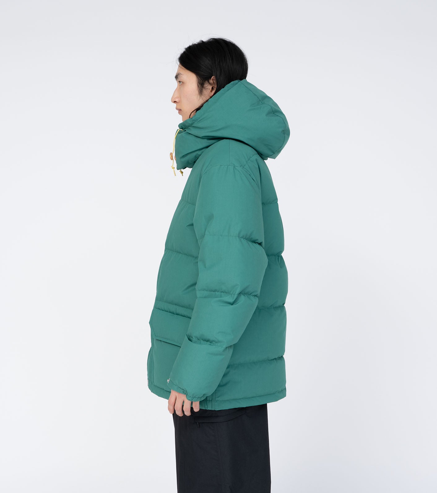 THE NORTH FACE PURPLE LABEL 65/35 Sierra Parka – unexpected store