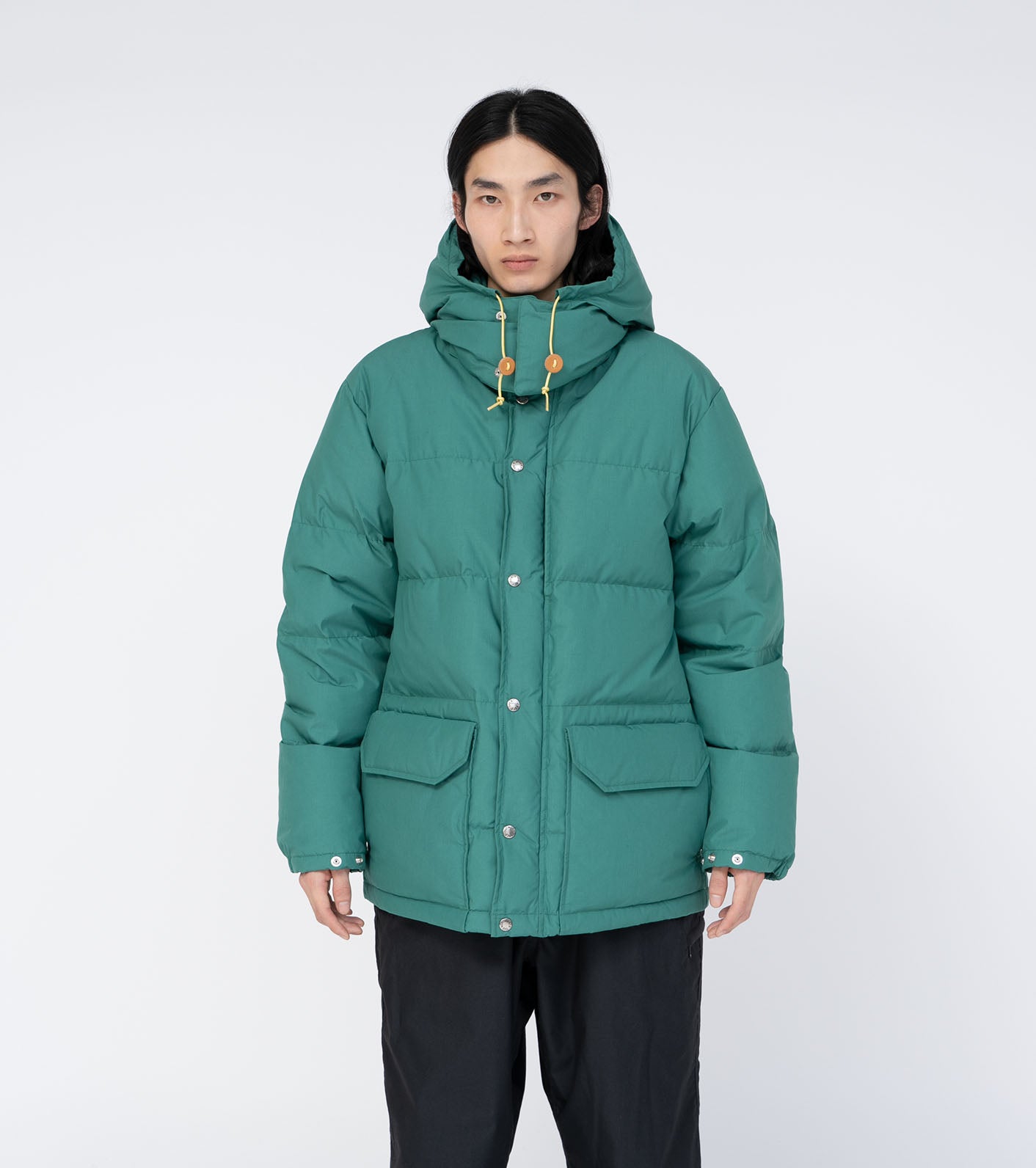 North face sierra parka hotsell