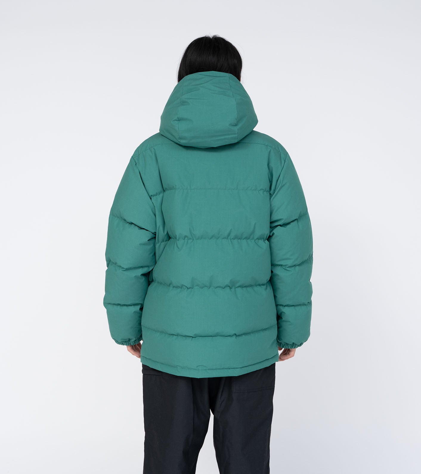 THE NORTH FACE PURPLE LABEL 65/35 Sierra Parka