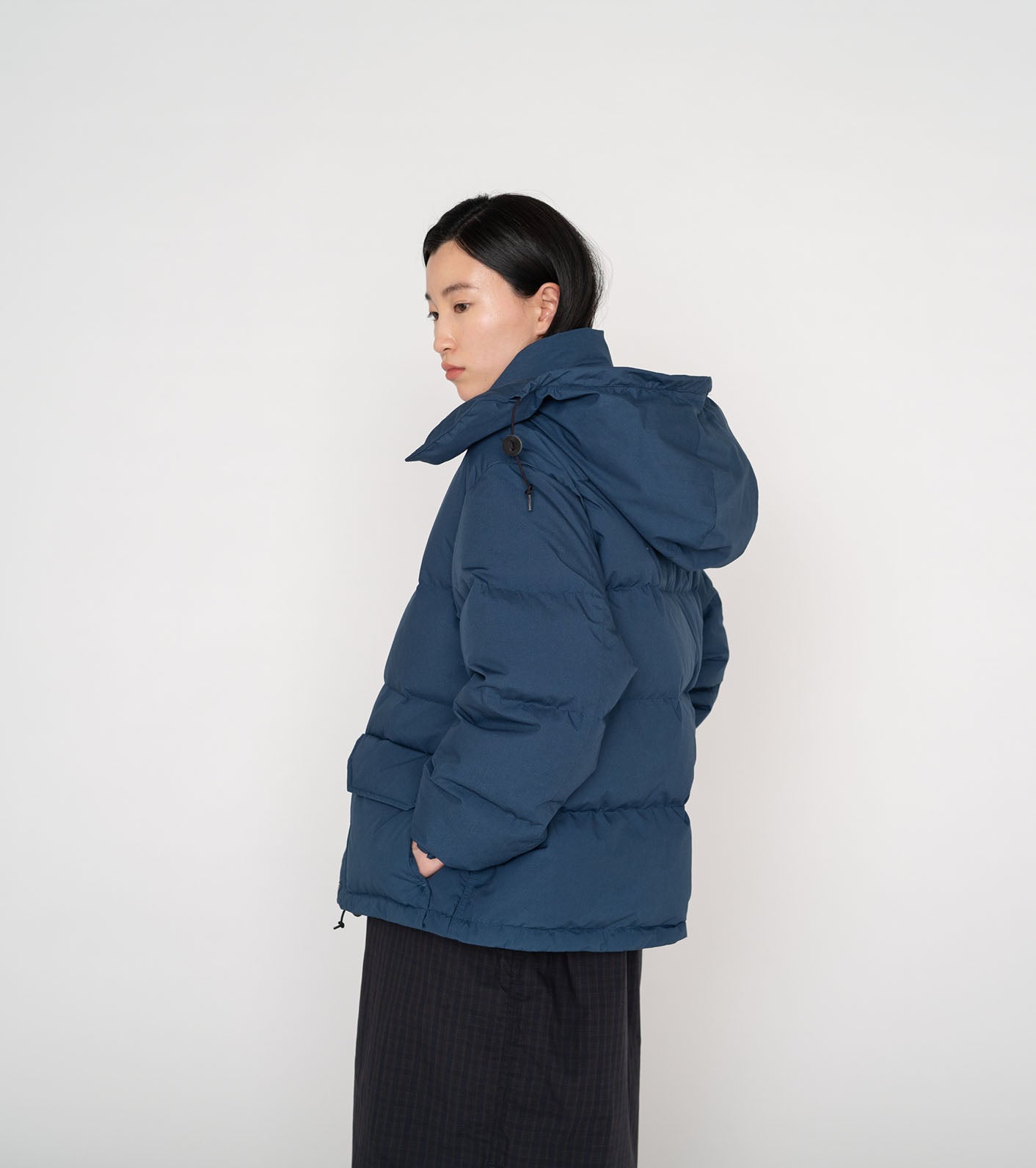 THE NORTH FACE PURPLE LABEL 65/35 Sierra Parka for Women