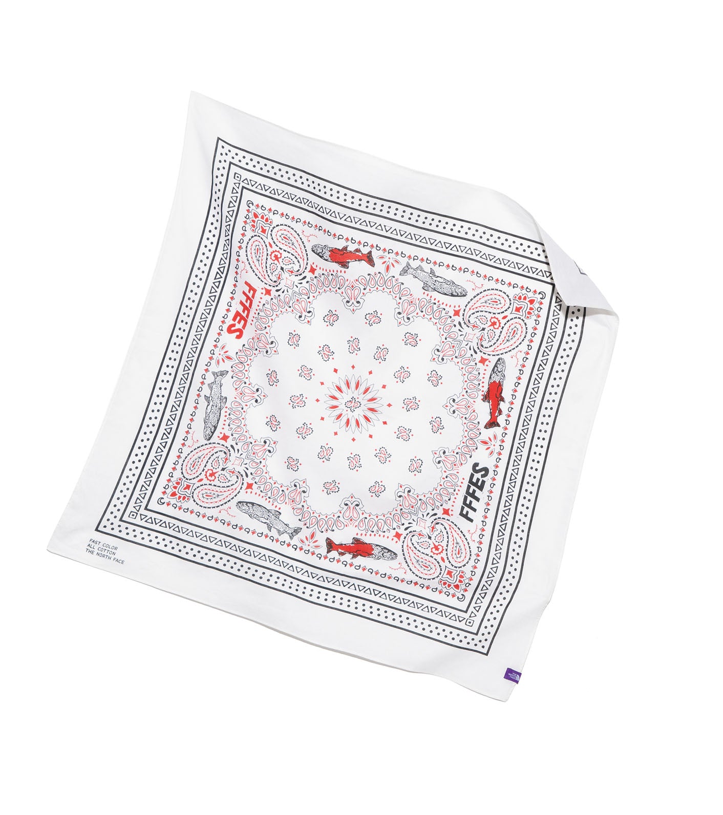 THE NORTH FACE PURPLE LABEL FFFES Graphic Bandana