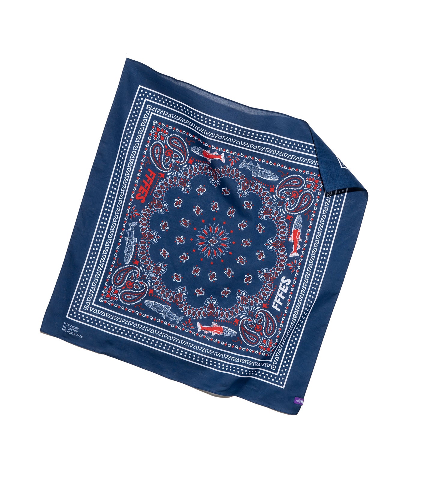 THE NORTH FACE PURPLE LABEL FFFES Graphic Bandana