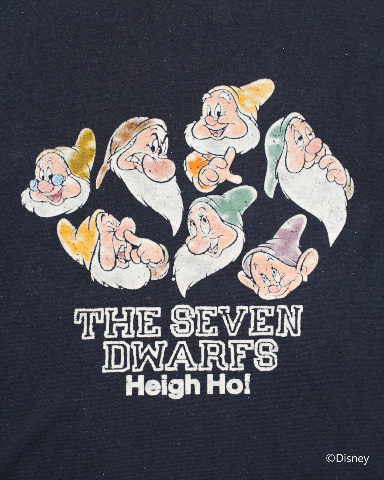 BOW WOW SEVEN DWARFS LS