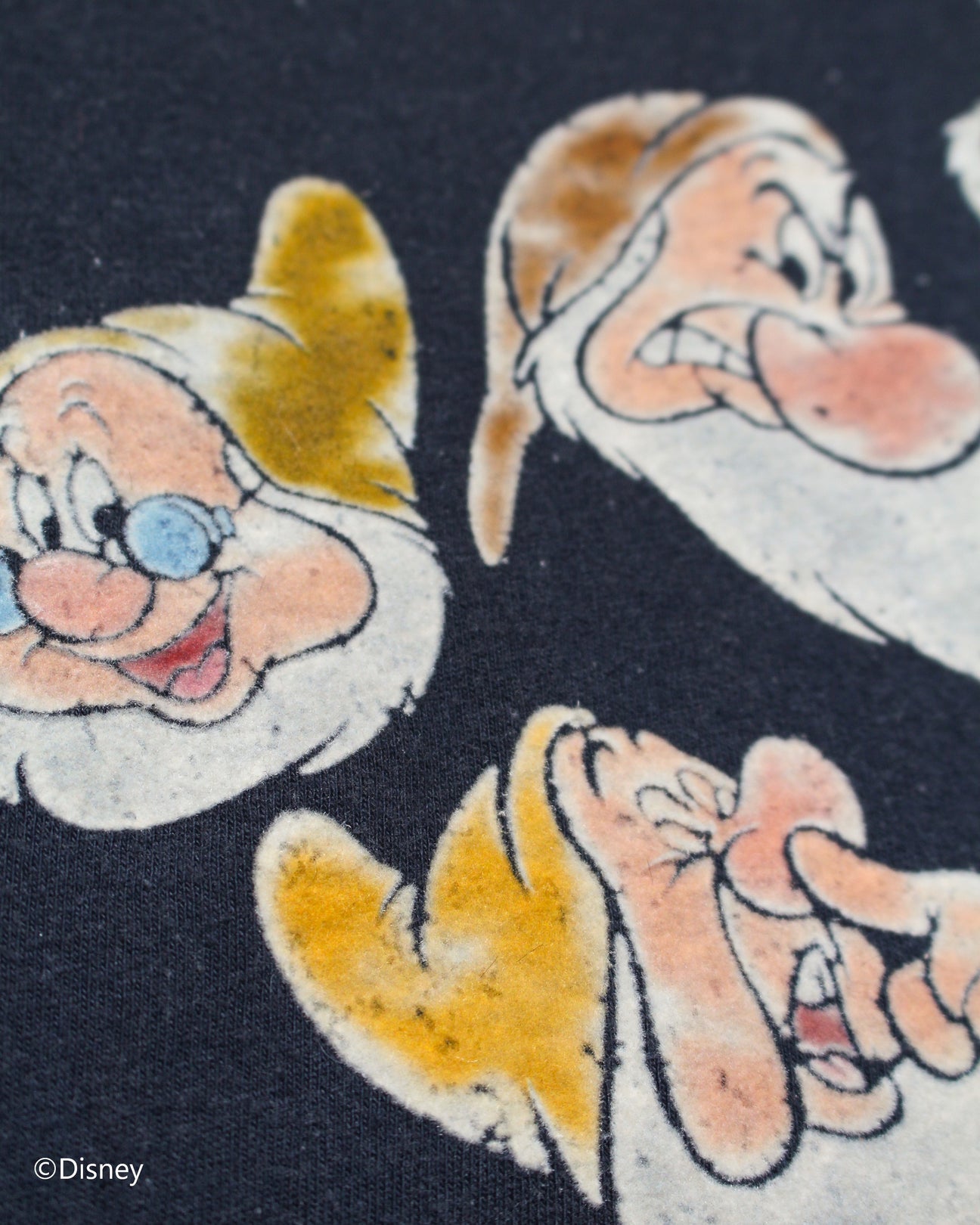 BOW WOW SEVEN DWARFS LS