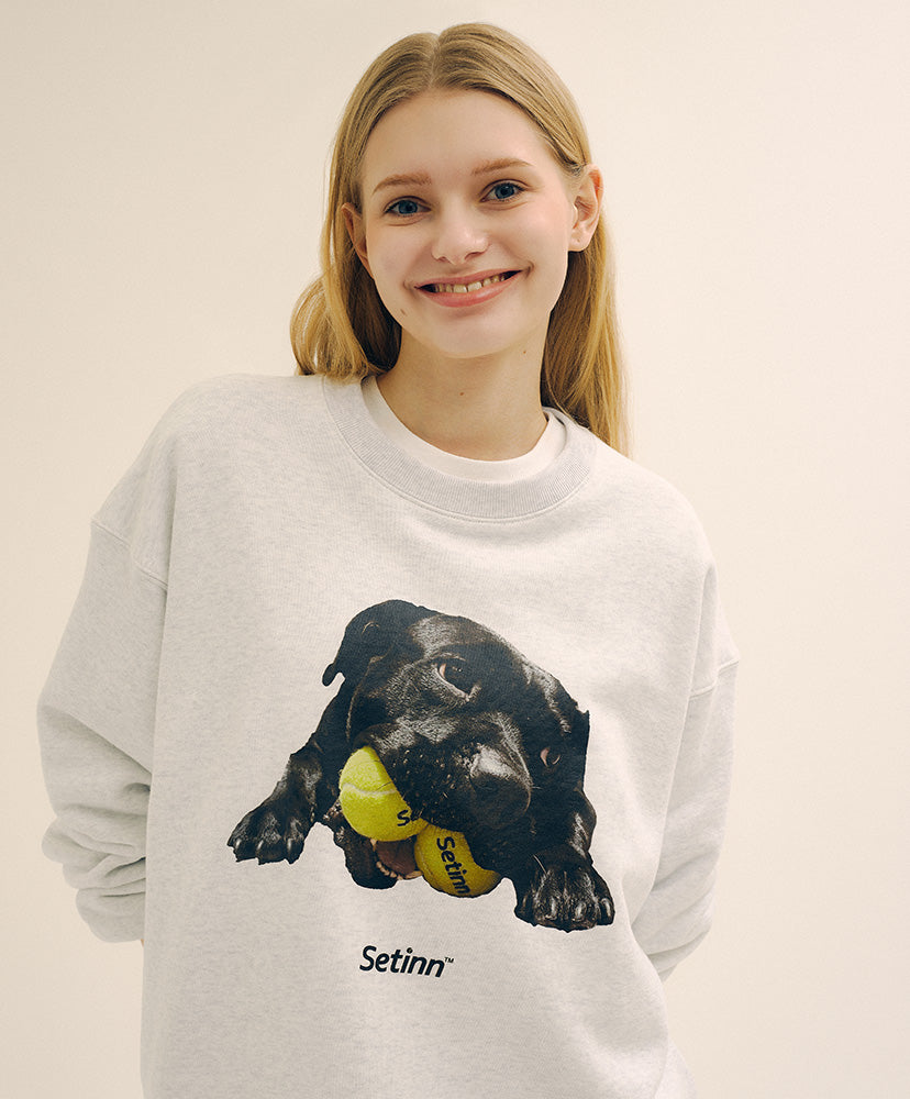 Setinn Balldog Crew Sweat