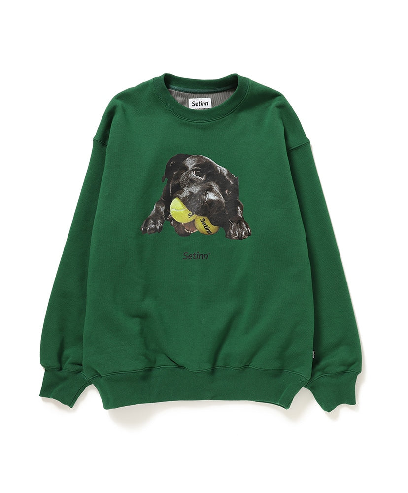 Setinn Balldog Crew Sweat