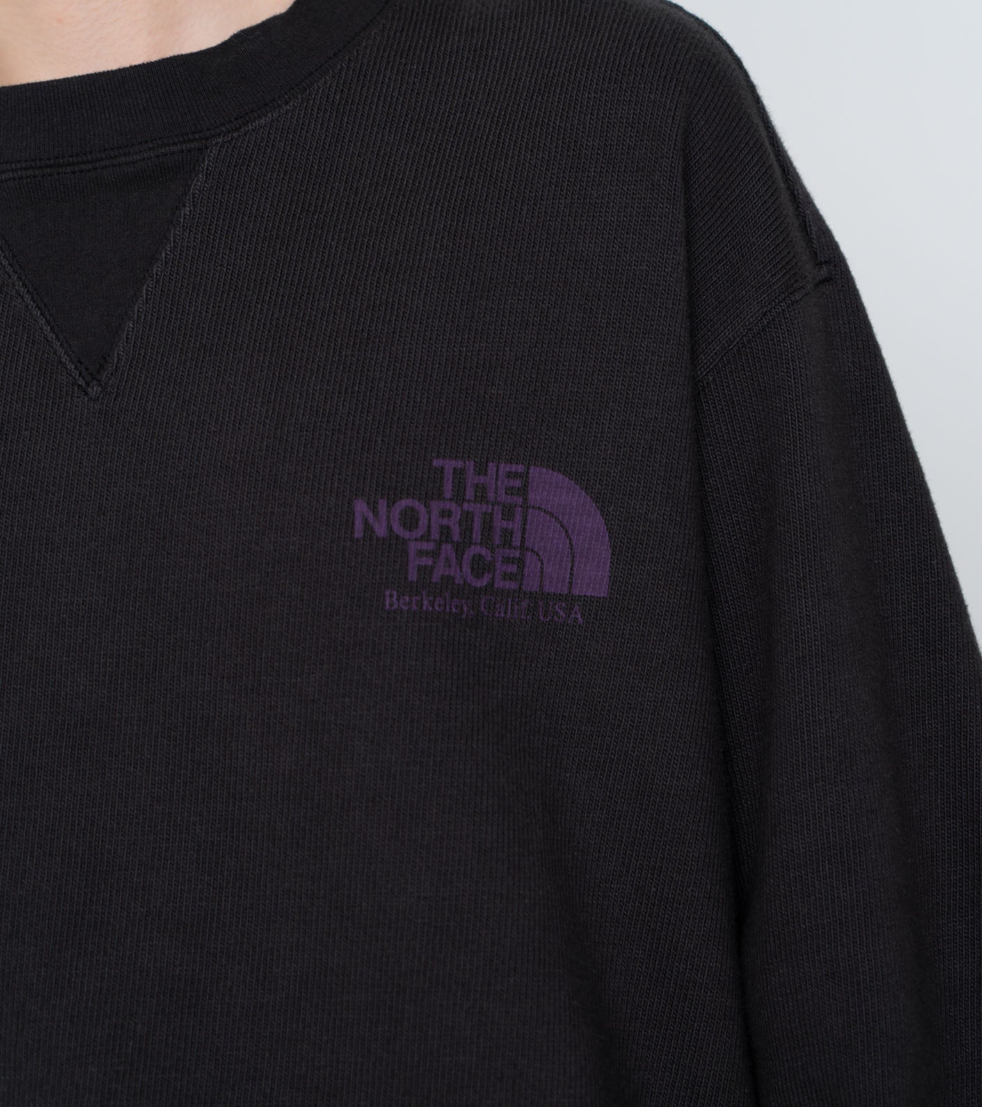 THE NORTH FACE PURPLE LABEL Field Cropped Graphic Tee