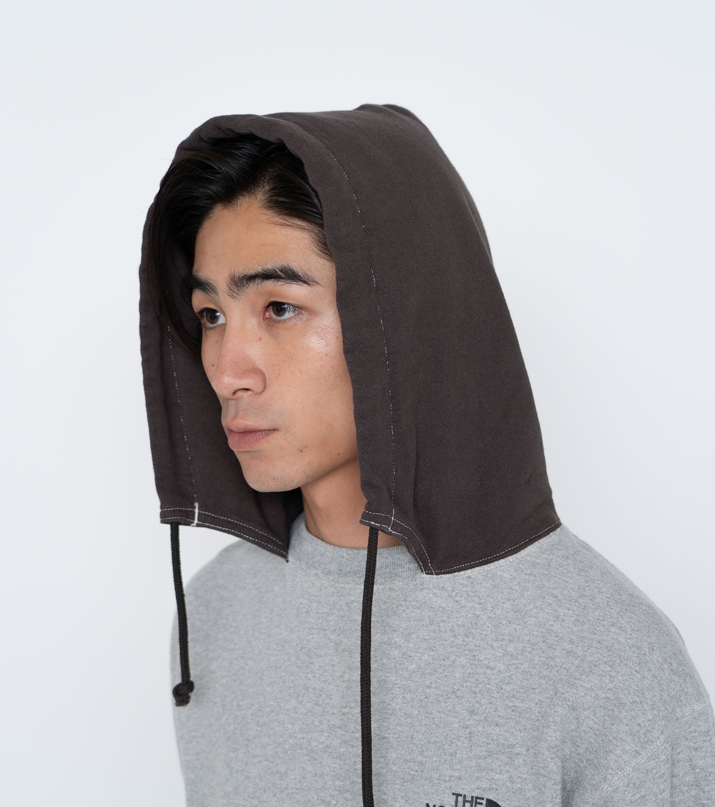 North face 2024 graphic hoodie