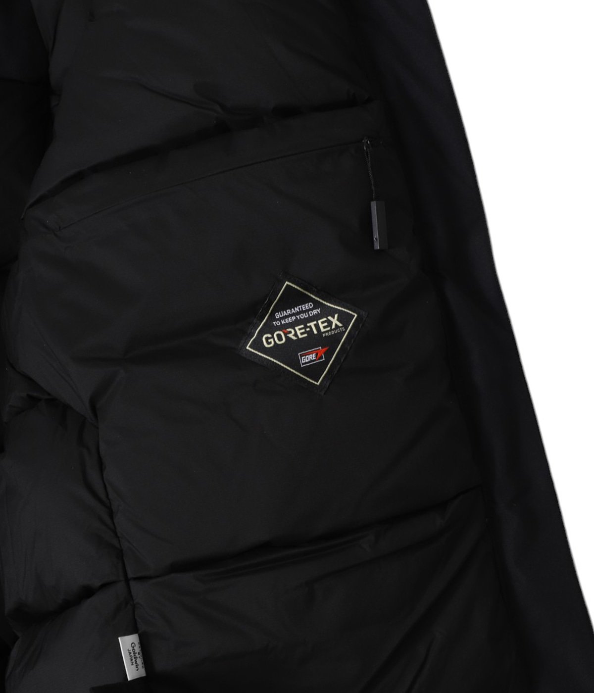 Goldwin GORE-TEX 900FP Down Jacket