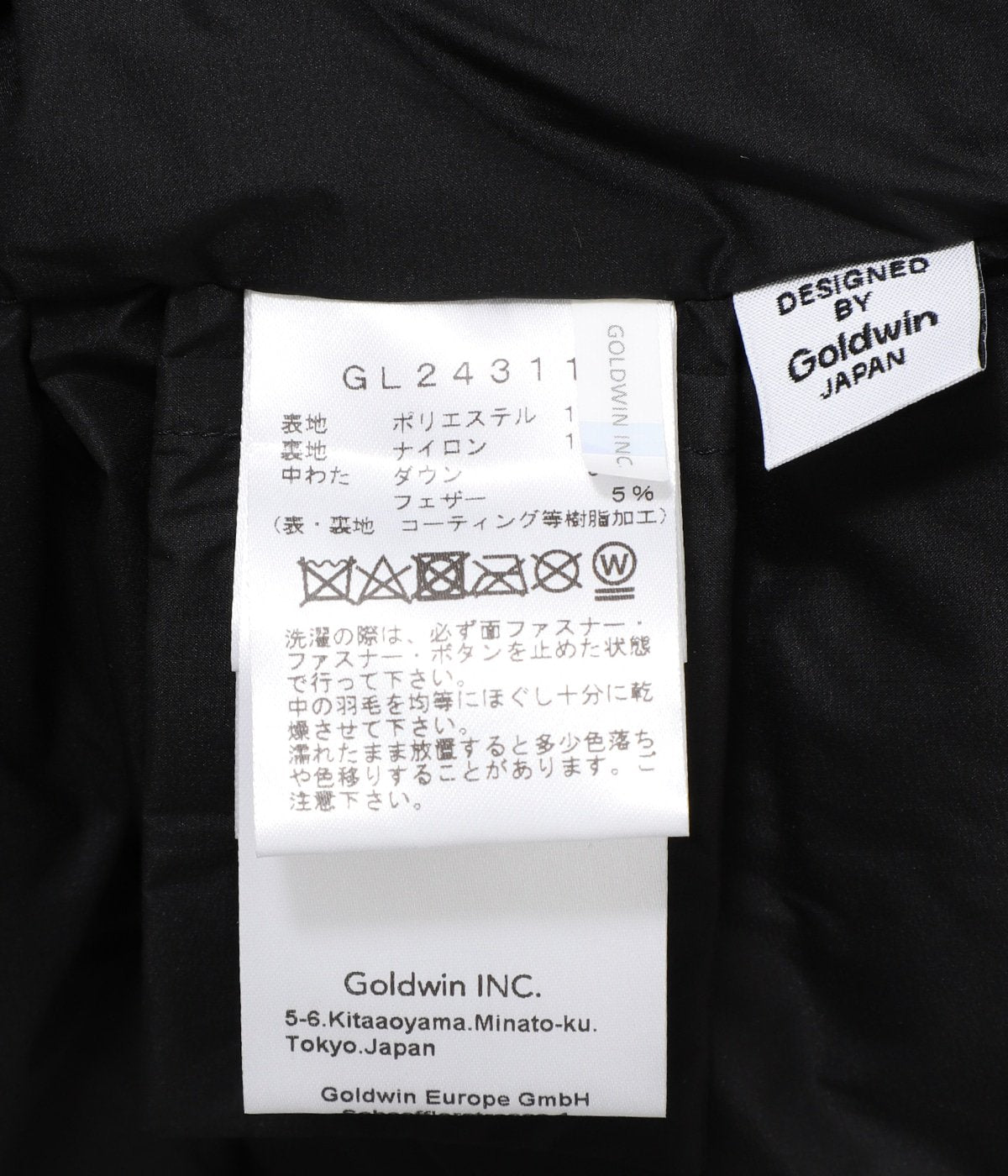 Goldwin GORE-TEX 900FP Down Jacket