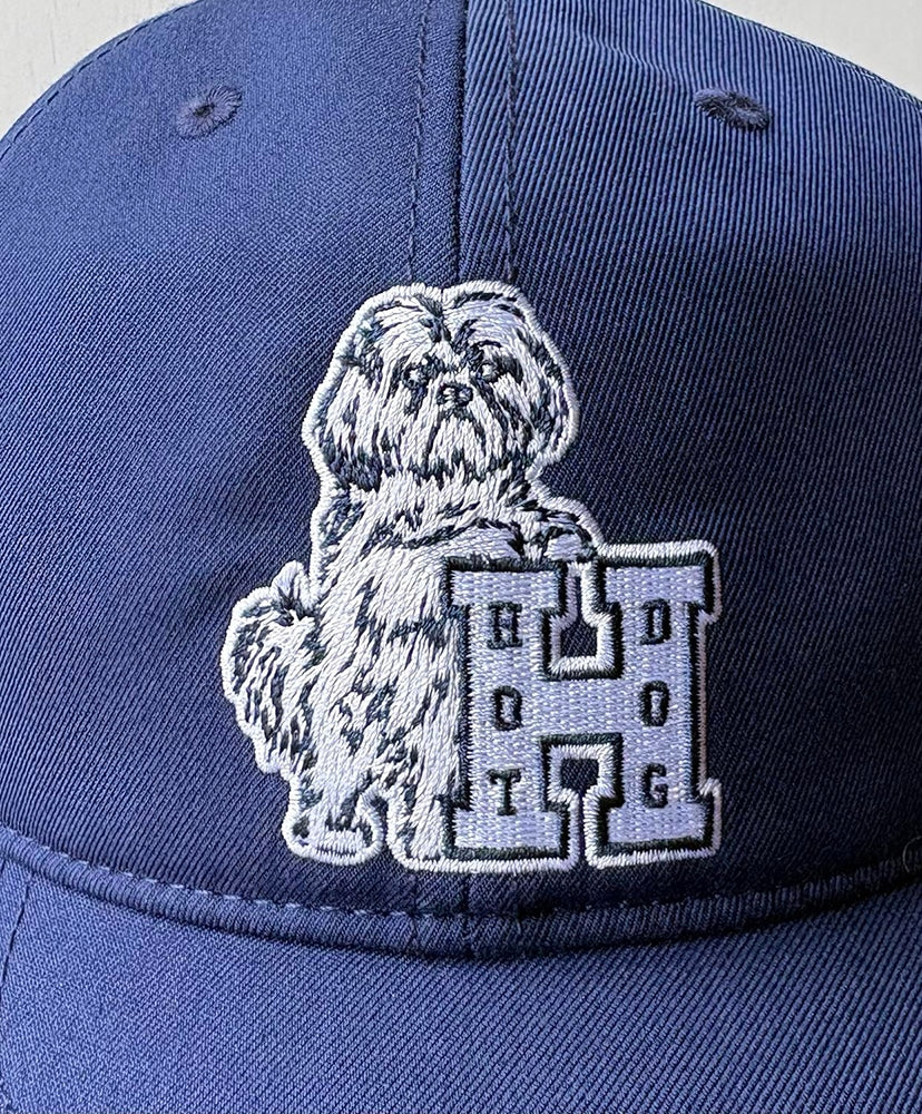 TACOMA FUJI RECORDS HOT DOG VNTG LOGO CAP