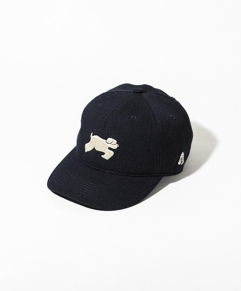 TACOMA FUJI RECORDS SHAGGY DOG CAP