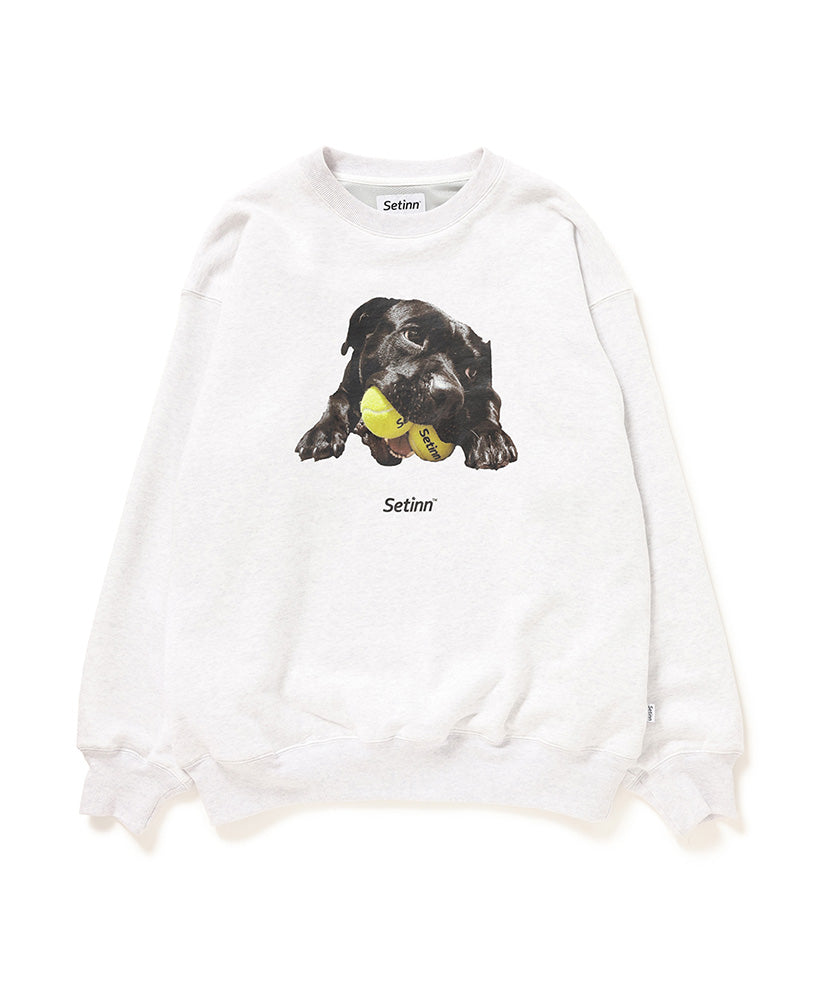 Setinn Balldog Crew Sweat