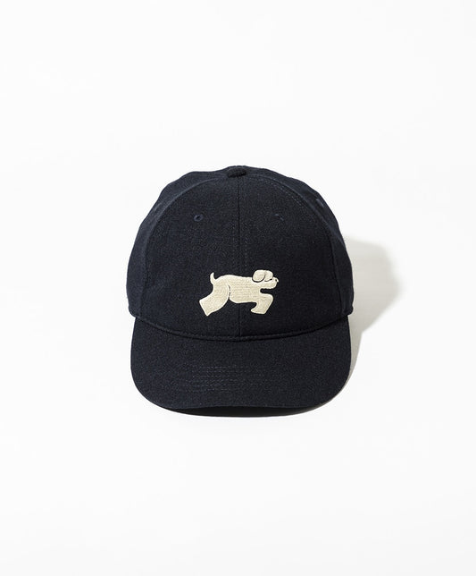 TACOMA FUJI RECORDS SHAGGY DOG CAP