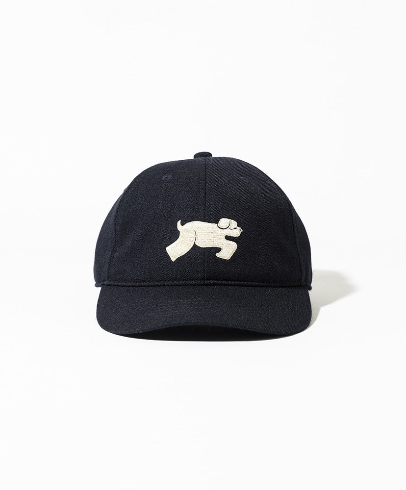 TACOMA FUJI RECORDS SHAGGY DOG CAP