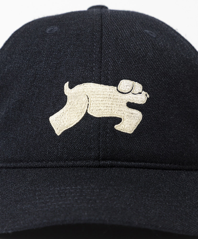 TACOMA FUJI RECORDS SHAGGY DOG CAP