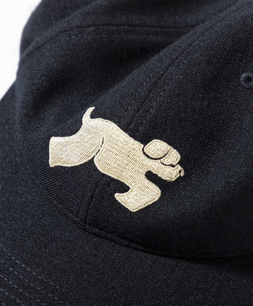 TACOMA FUJI RECORDS SHAGGY DOG CAP