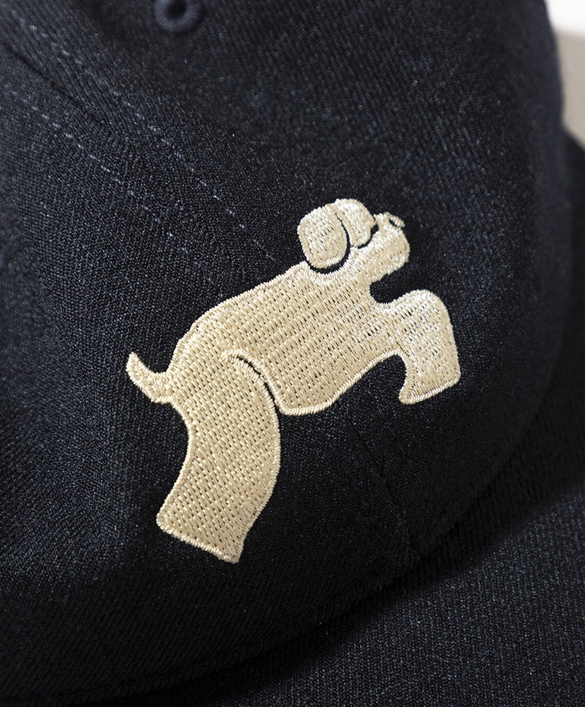 TACOMA FUJI RECORDS SHAGGY DOG CAP
