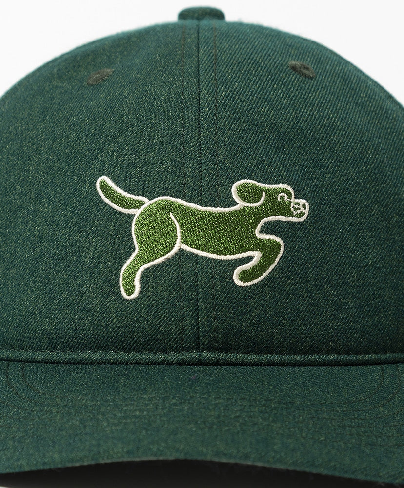 TACOMA FUJI RECORDS SMOOTH DOG CAP
