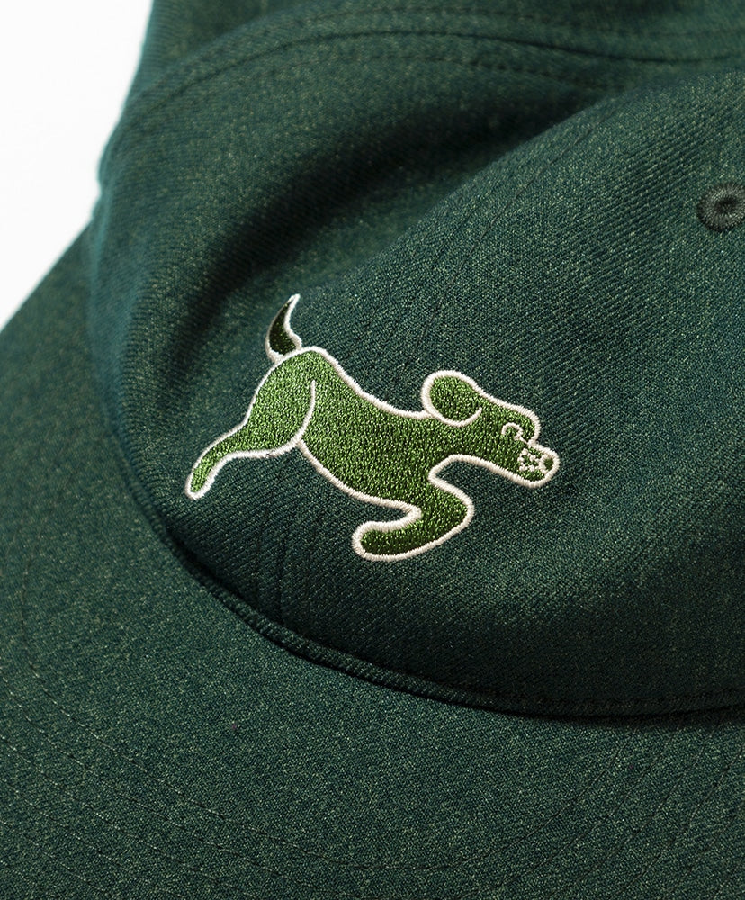 TACOMA FUJI RECORDS SMOOTH DOG CAP