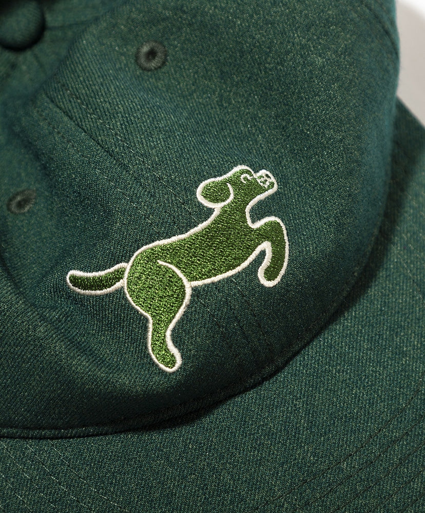 TACOMA FUJI RECORDS SMOOTH DOG CAP