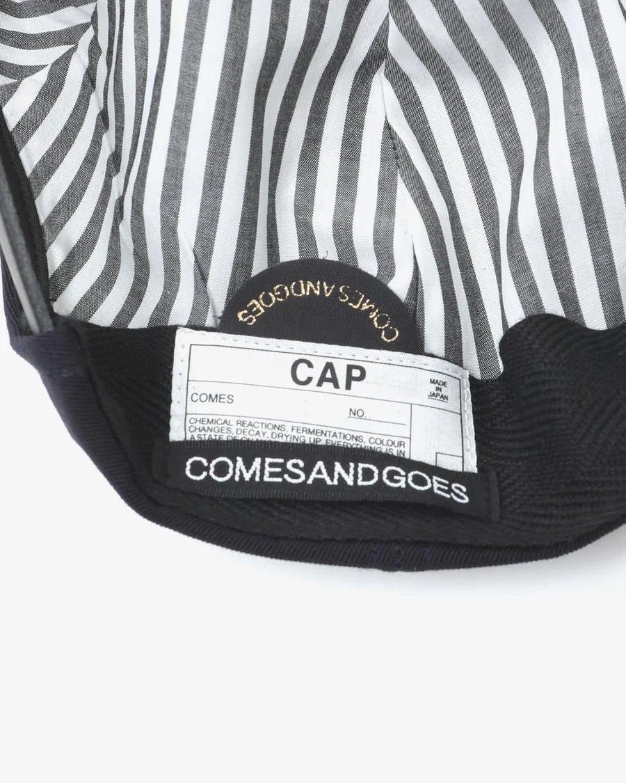 COMESANDGOES NYS CAP