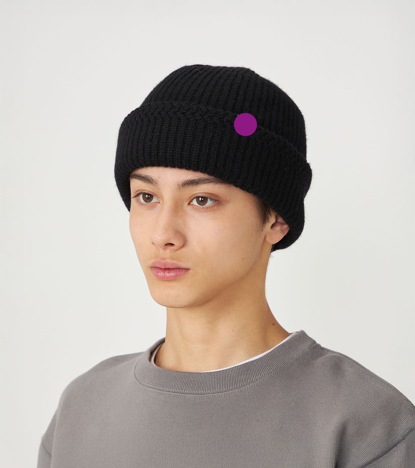 Purple Label WINDSTOPPER Field Watch Cap