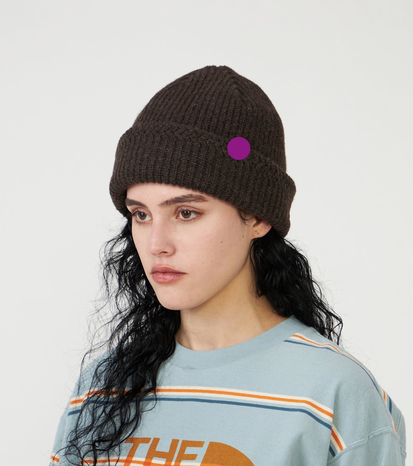 Purple Label WINDSTOPPER Field Watch Cap
