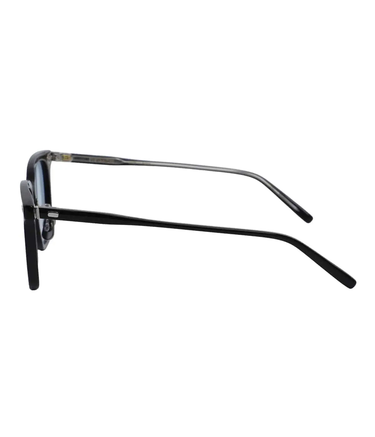 EYEVAN7285 SUNGLASSES 319