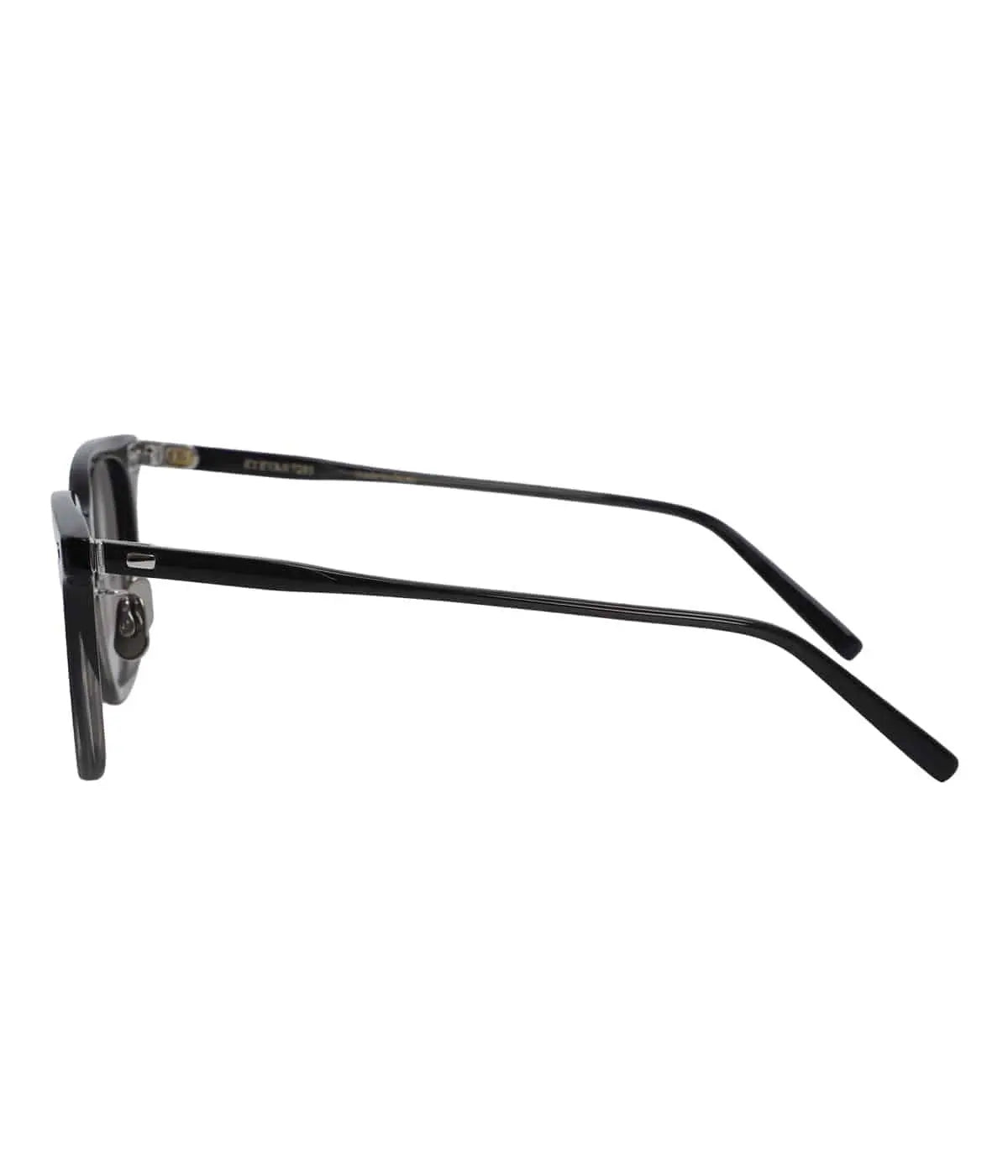 EYEVAN7285 SUNGLASSES 319