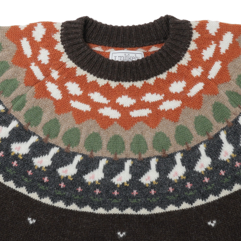 Unlikely Fair Isle "Duck"