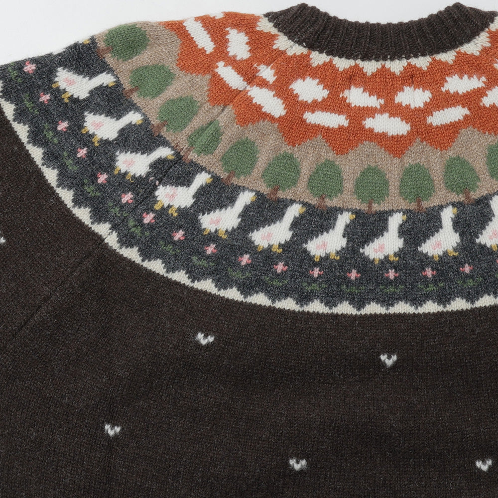 Unlikely Fair Isle "Duck"