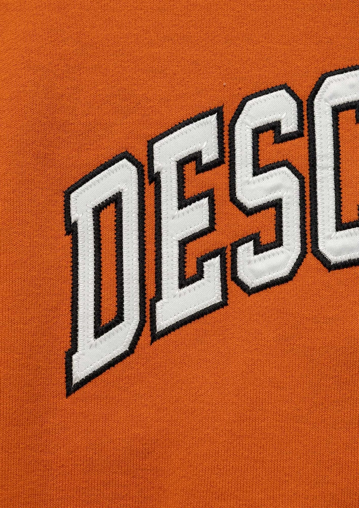 DESCENDANT TEAM HOODY