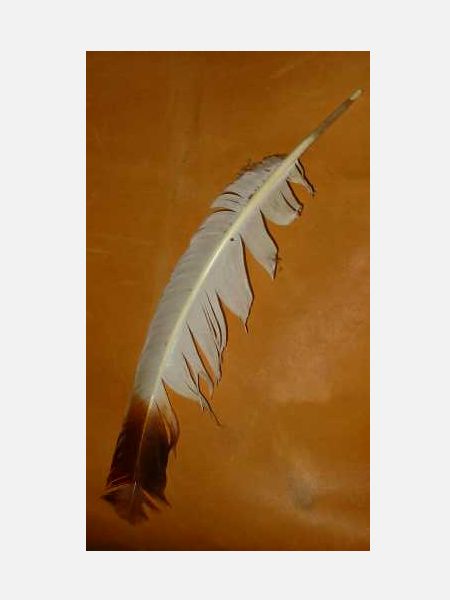 LARRY SMITH FEATHER Necklace