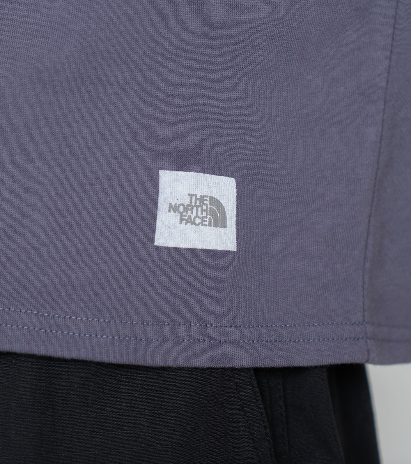 THE NORTH FACE PURPLE LABEL H/S Graphic Tee